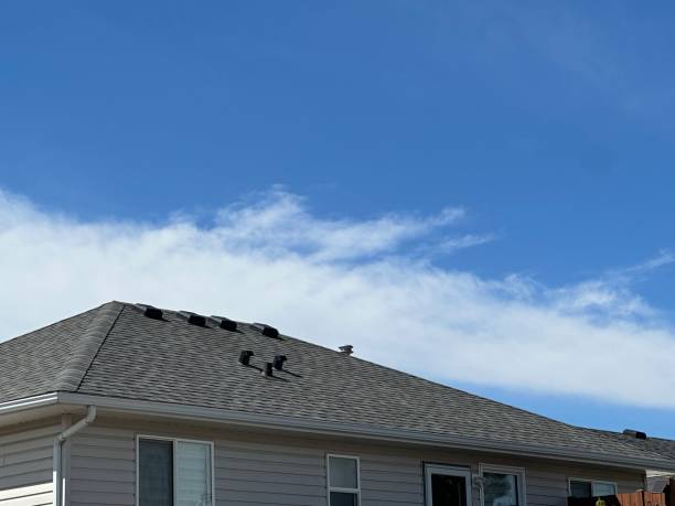 Best Roof Insulation Installation  in Ivanhoe, CA